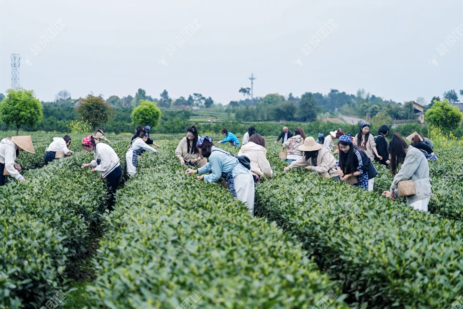 超级团建SuperTB www.tbsuper.com