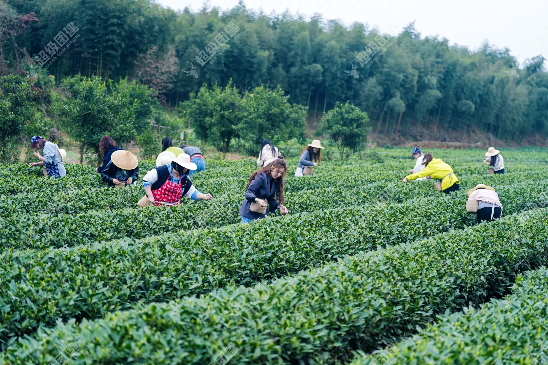 超级团建SuperTB www.tbsuper.com