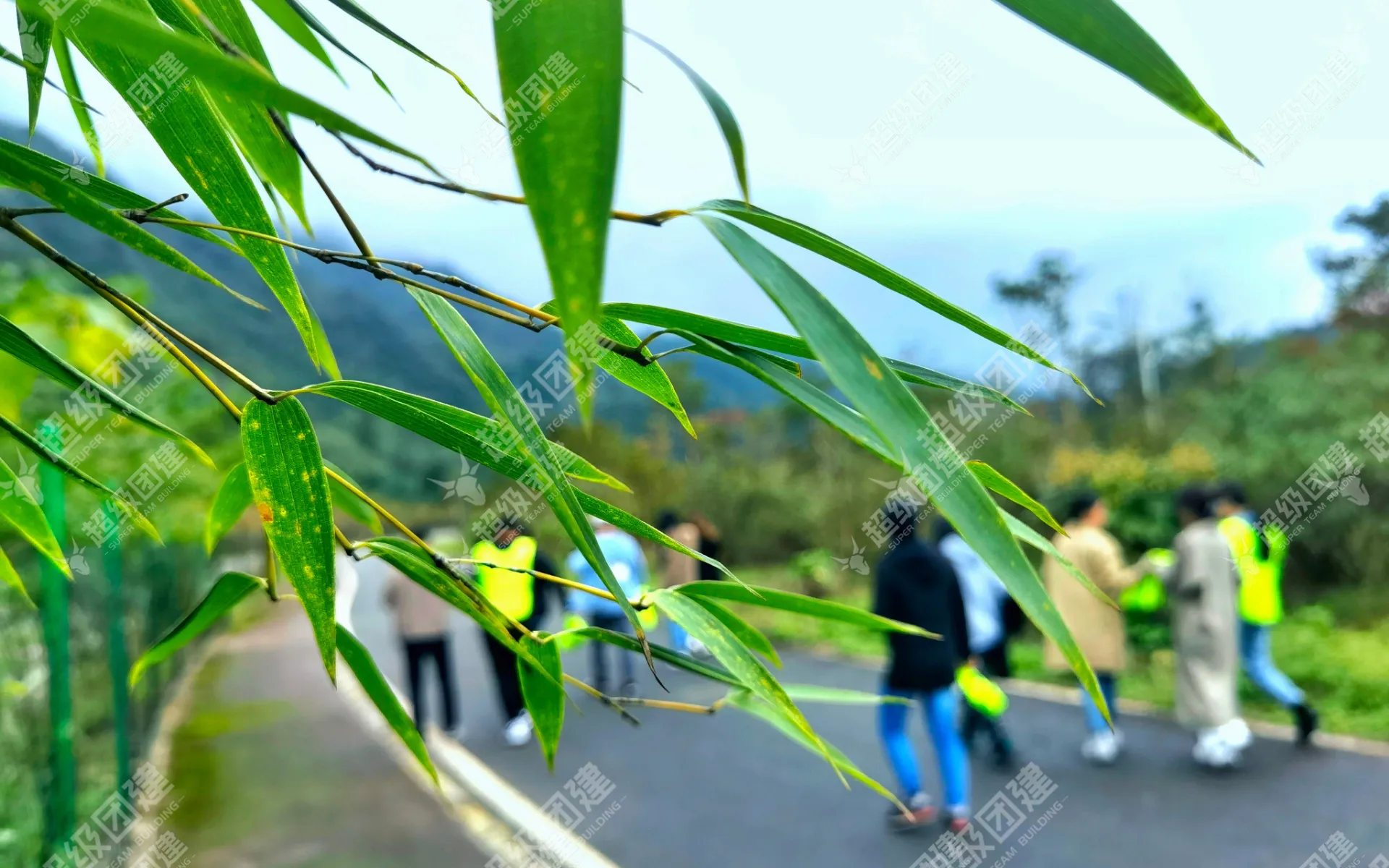 超级团建SuperTB www.tbsuper.com