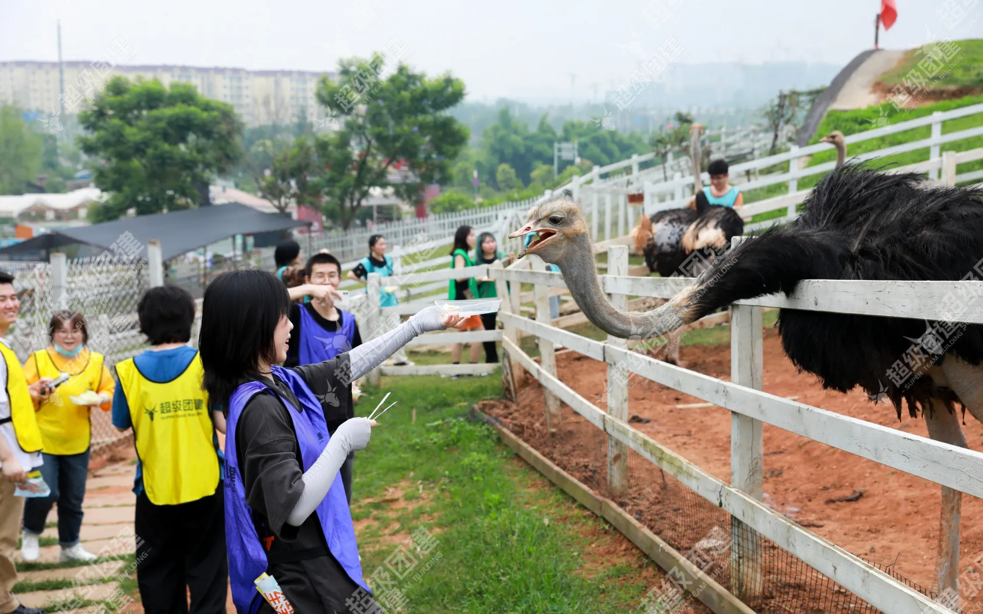 超级团建SuperTB www.tbsuper.com