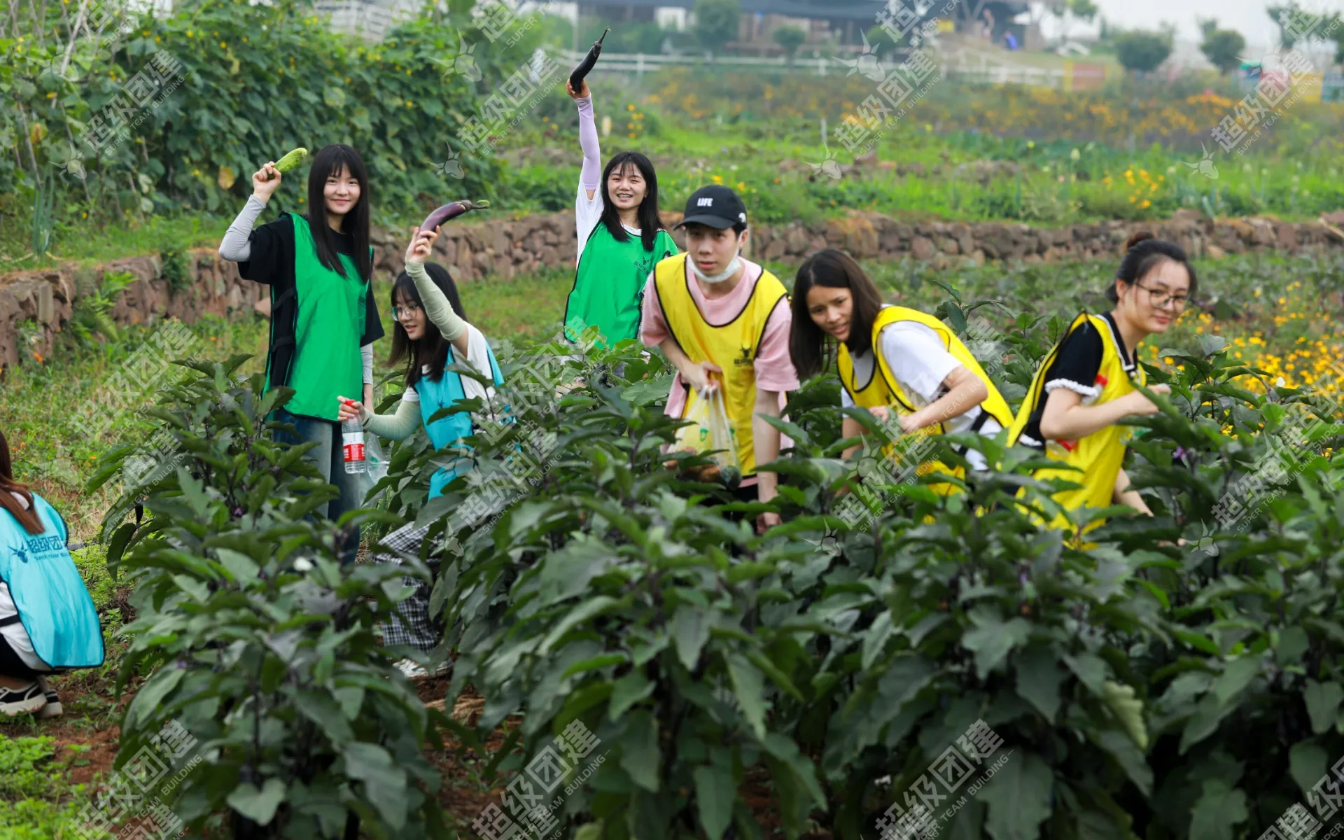 超级团建SuperTB www.tbsuper.com