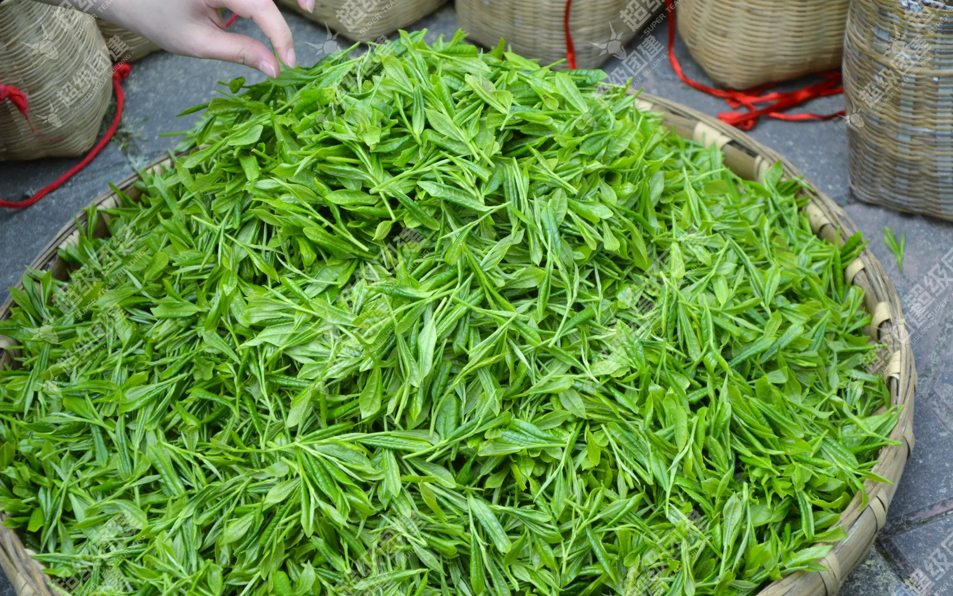 超级团建SuperTB www.tbsuper.com