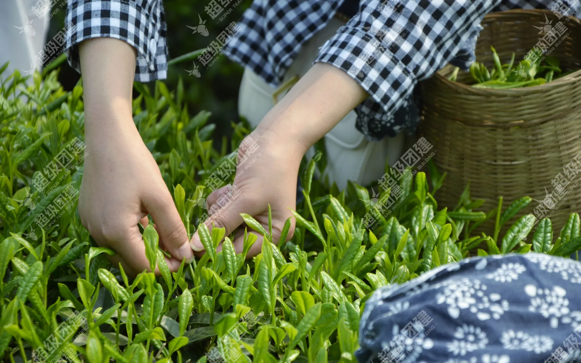 超级团建SuperTB www.tbsuper.com