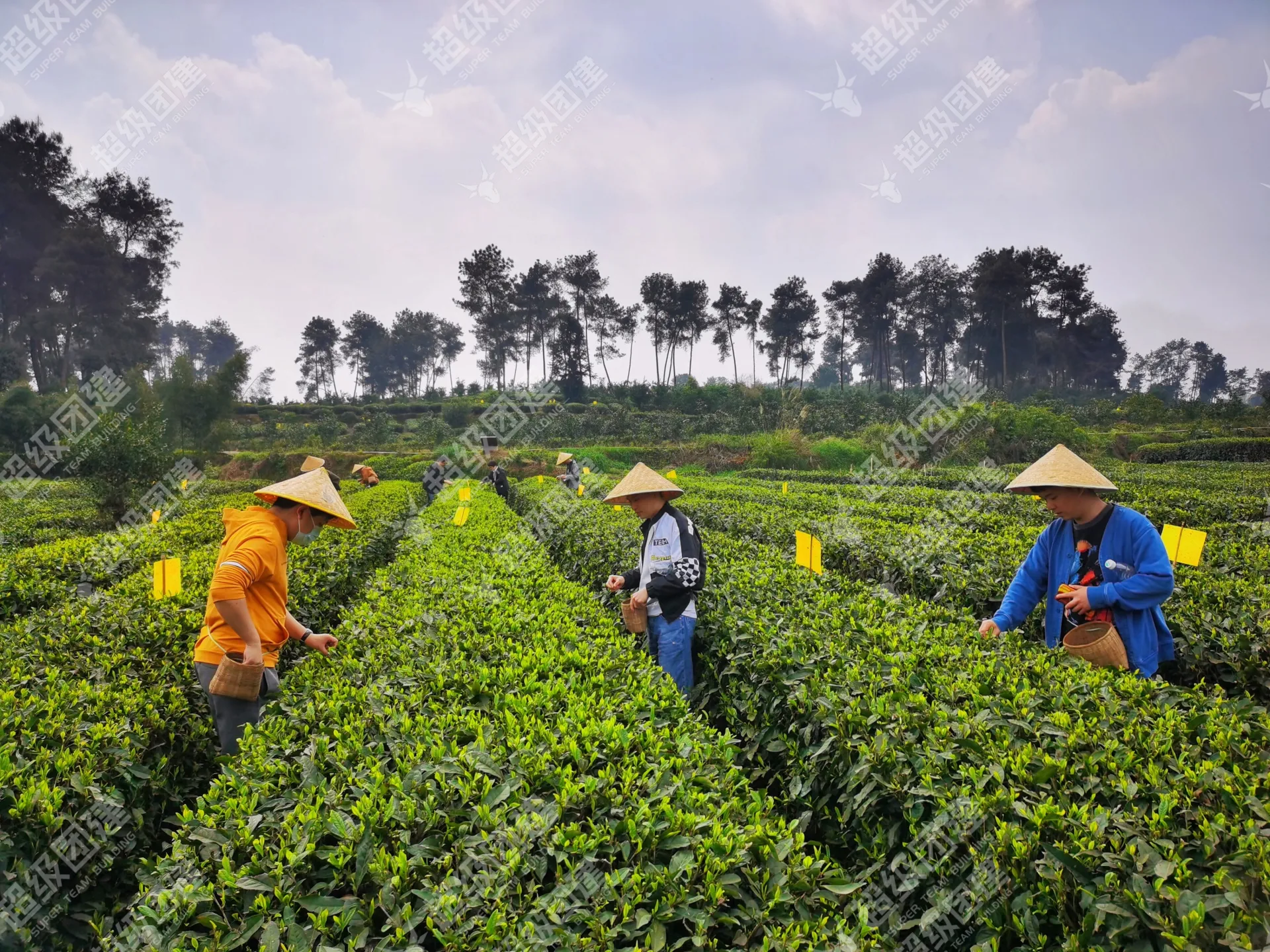 超级团建SuperTB www.tbsuper.com