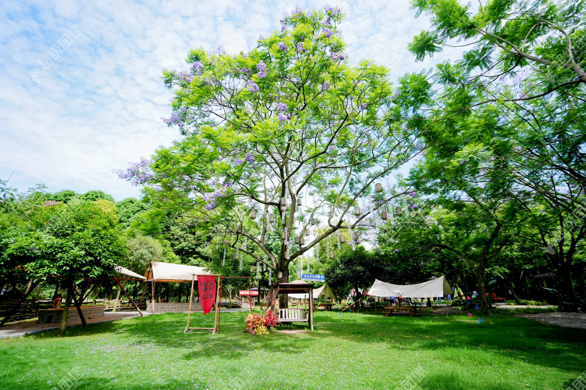 超级团建SuperTB www.tbsuper.com