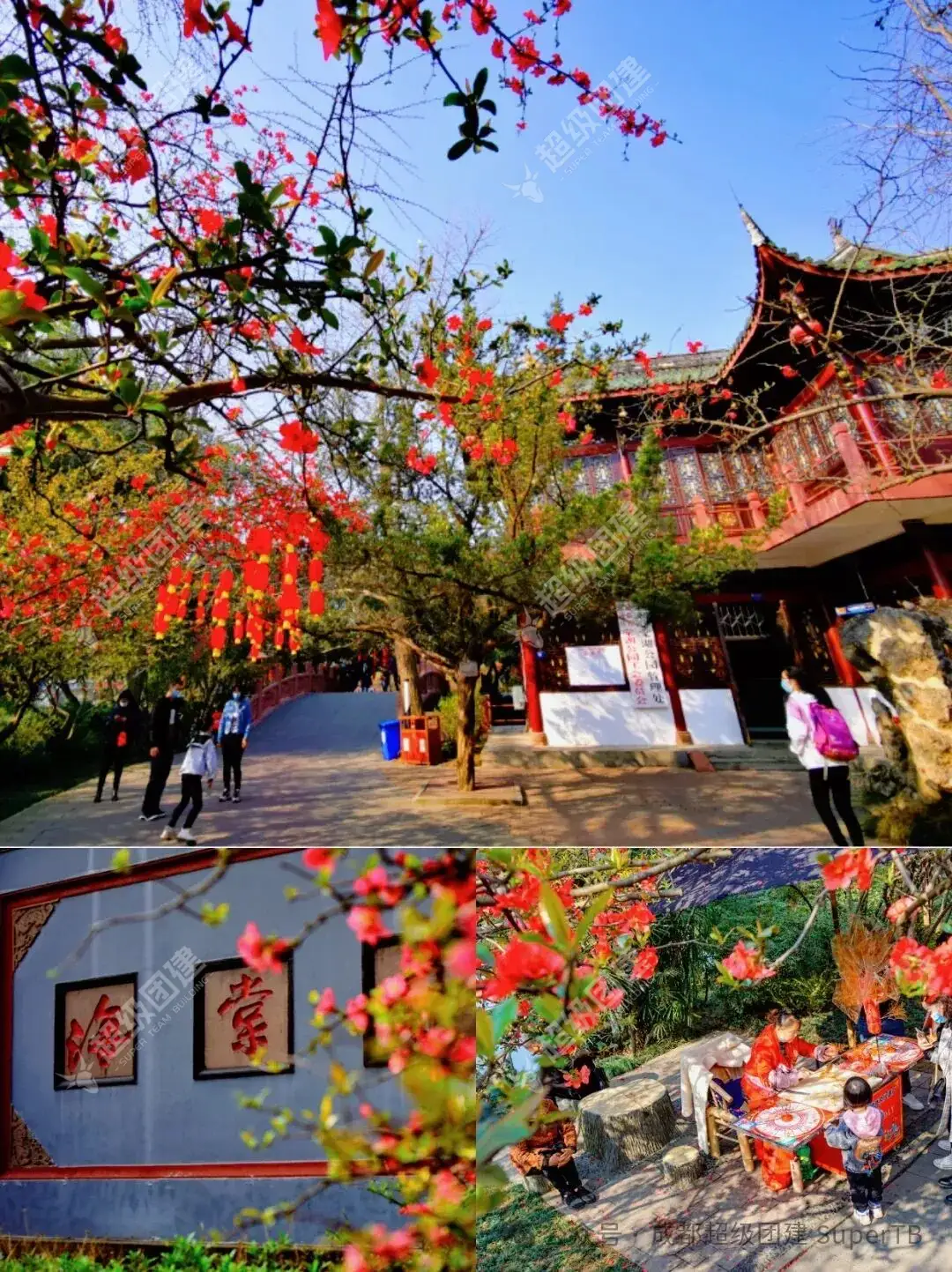 超级团建SuperTB www.tbsuper.com