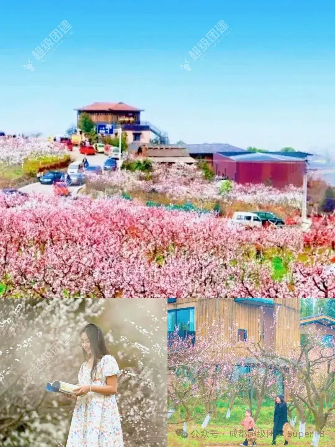 超级团建SuperTB www.tbsuper.com