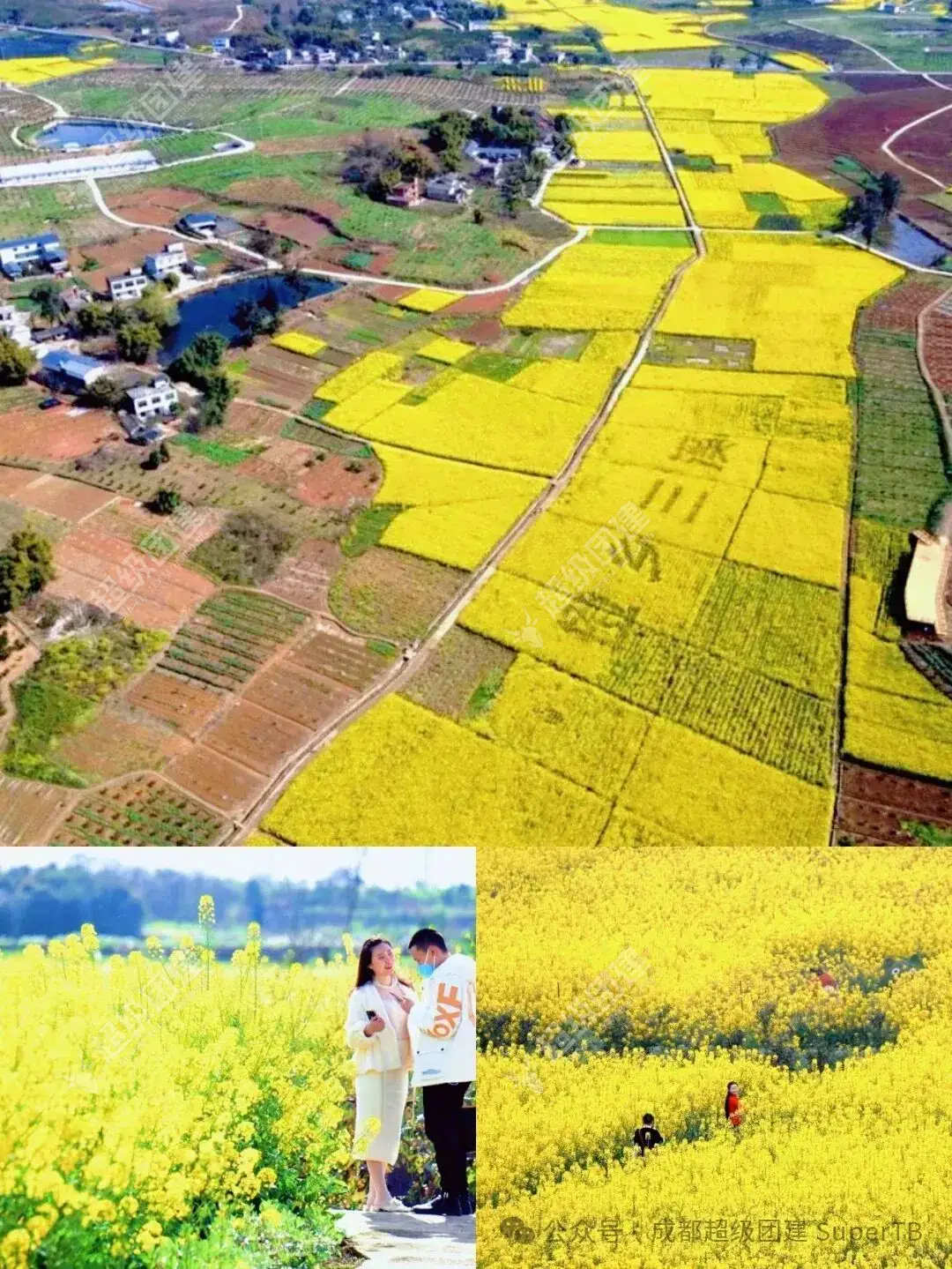 超级团建SuperTB www.tbsuper.com