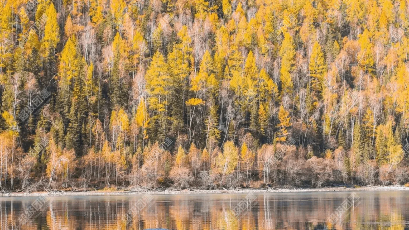 超级团建SuperTB www.tbsuper.com