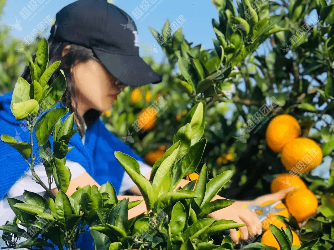 超级团建SuperTB www.tbsuper.com