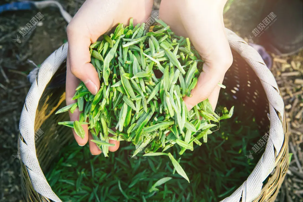 超级团建SuperTB www.tbsuper.com