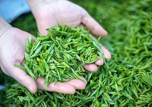 超级团建SuperTB www.tbsuper.com