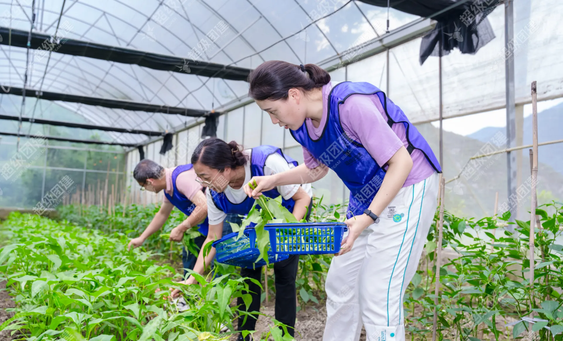 超级团建SuperTB www.tbsuper.com