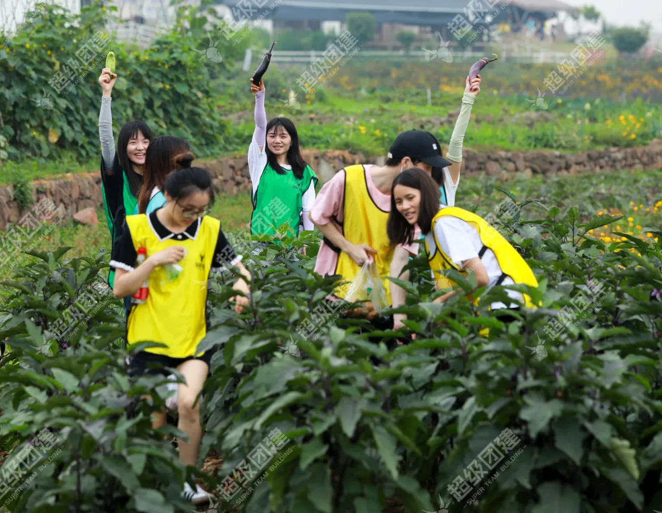 超级团建SuperTB www.tbsuper.com