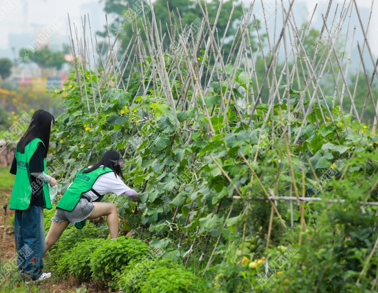 超级团建SuperTB www.tbsuper.com