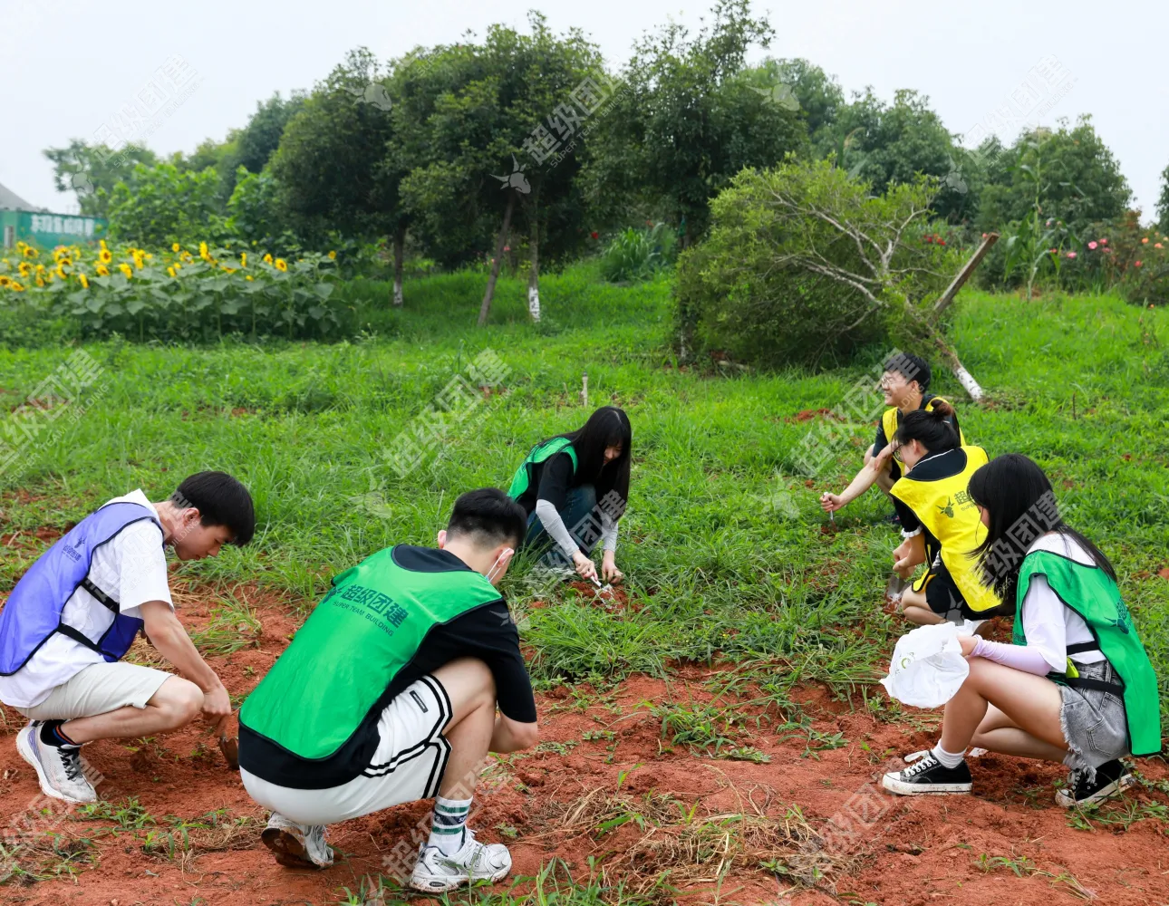 超级团建SuperTB www.tbsuper.com