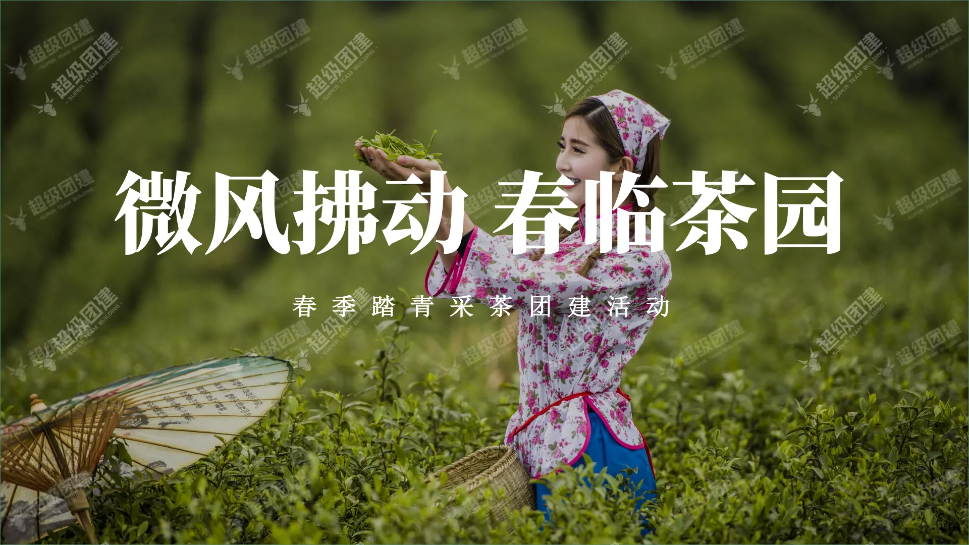 超级团建SuperTB www.tbsuper.com