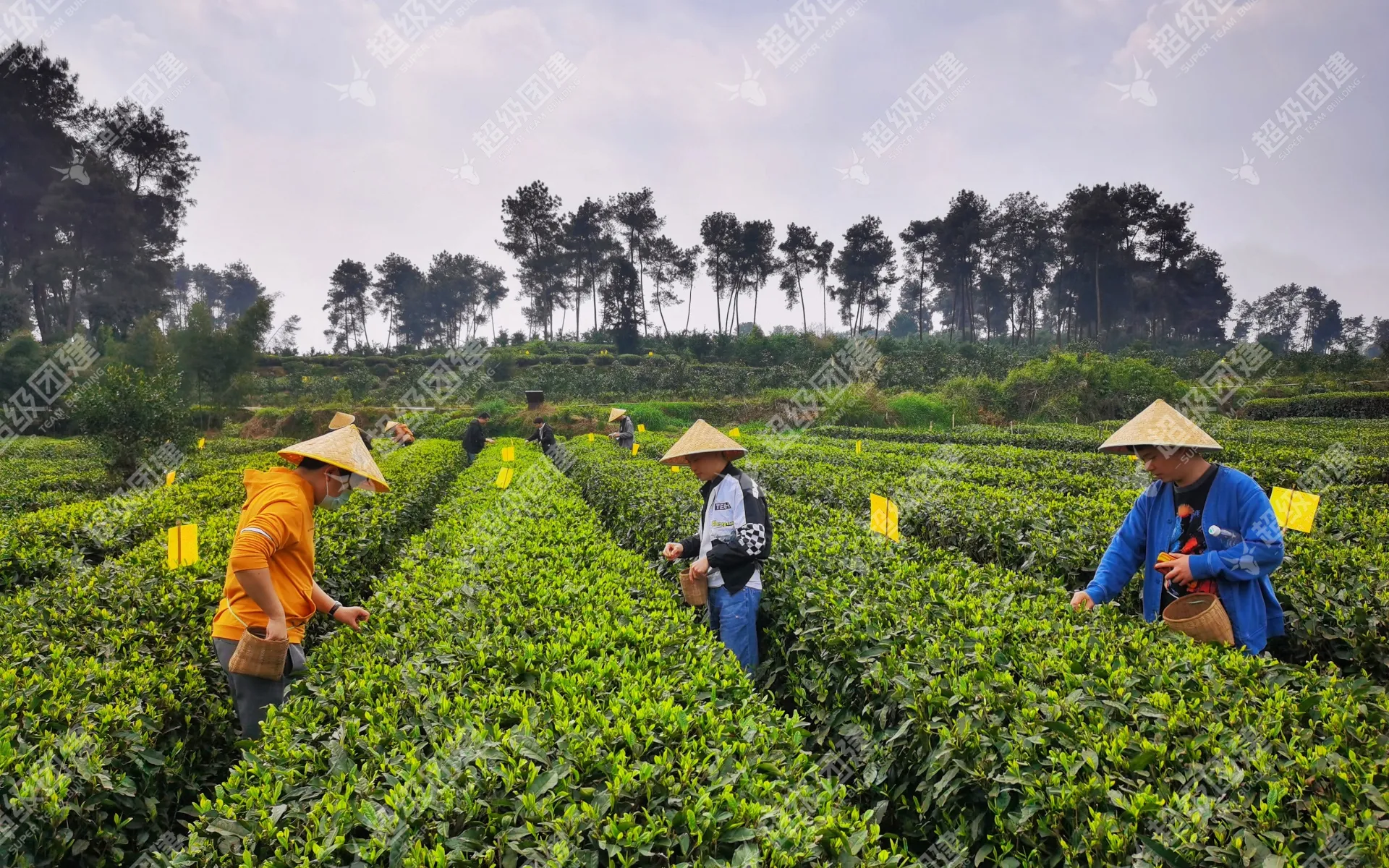 超级团建SuperTB www.tbsuper.com